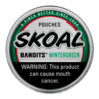 Skoal Pouches Bandits Wintergreen